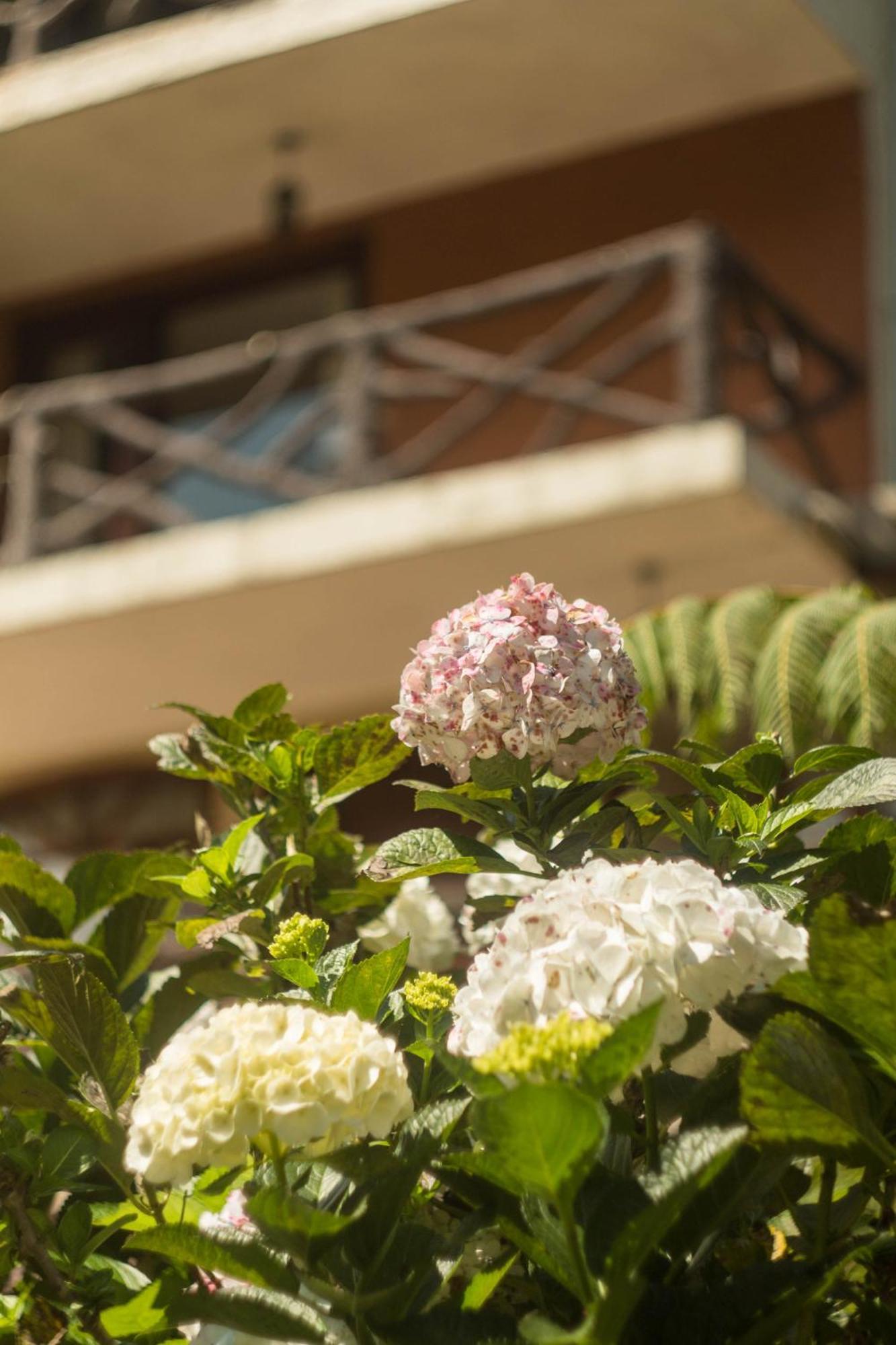 Aldea Real Eco Friendly Hotel Baños Eksteriør billede